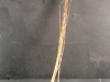 1214862631_seed-b